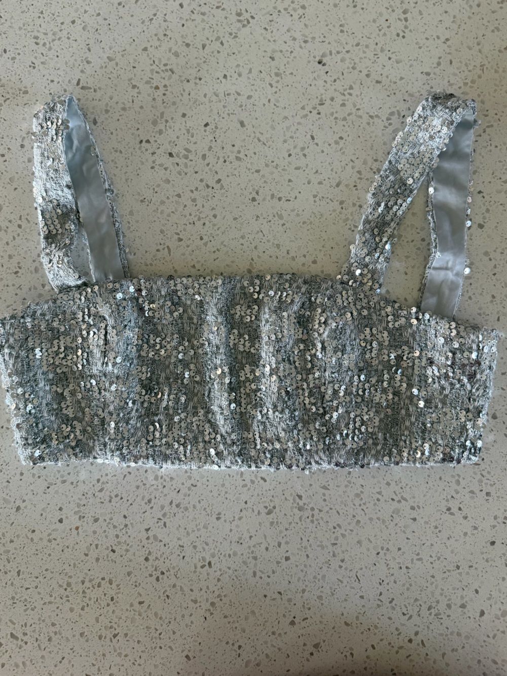 Amanda Uprichard Silver Sequin Crop Top Tish Agnes Festival Y2K S